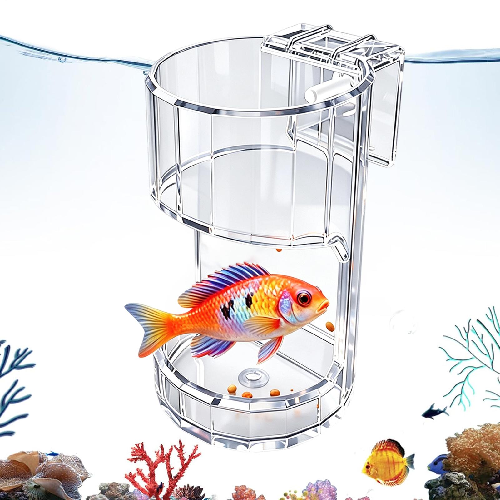 Marine Aquarium Live - Ciotola Trasparente per Acquario, Contenitore Porta
