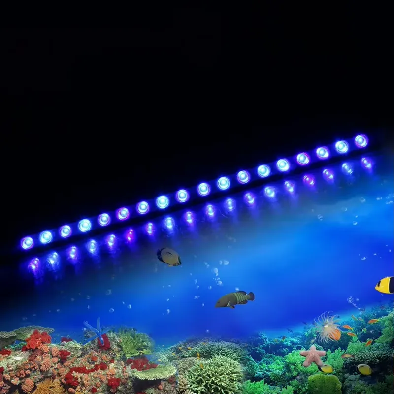 Marine Aquarium Timing - Lampada LED Dimmerabile con Timer per