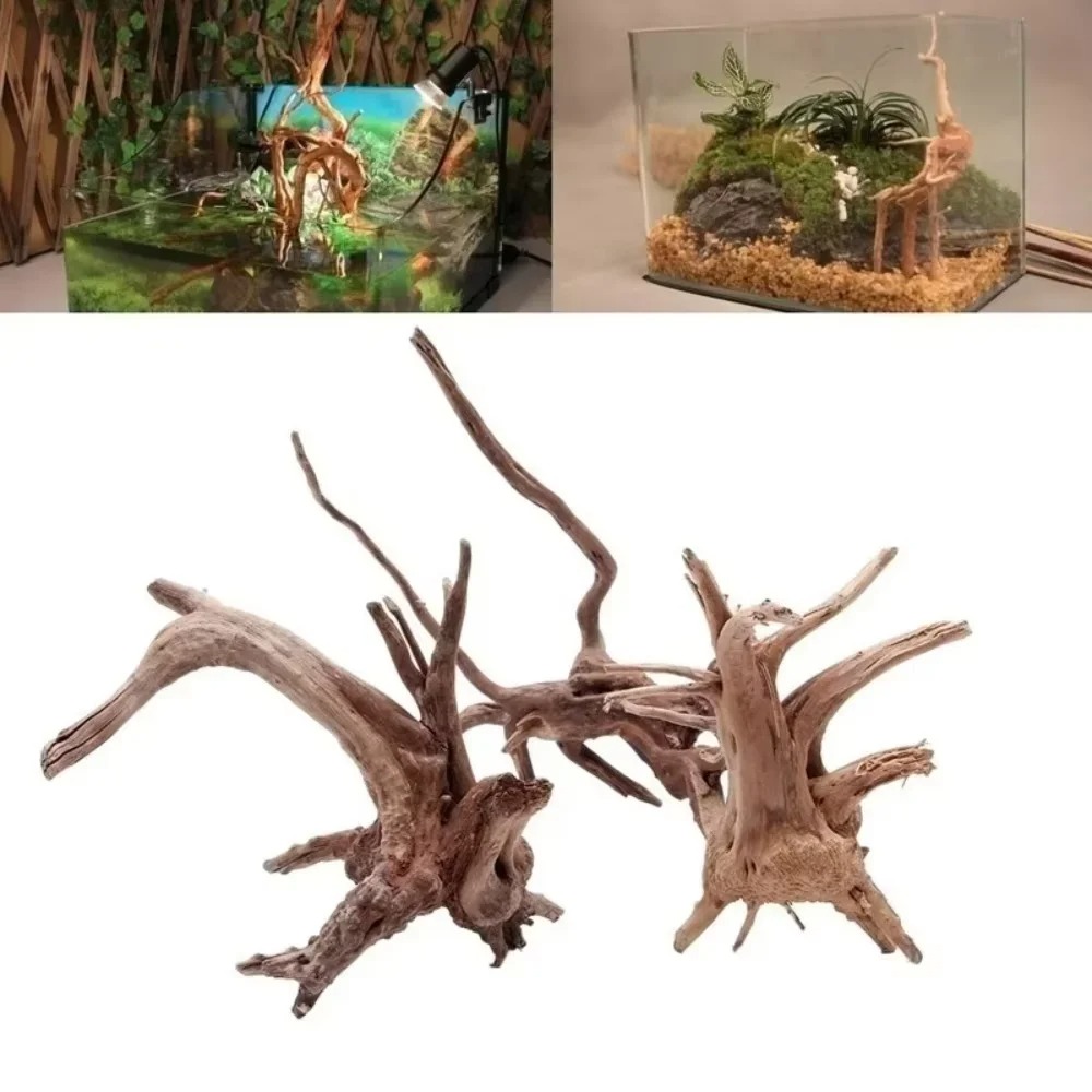 Aquarium Marine Tank - (15-20 cm) Decorazione per Acquario in