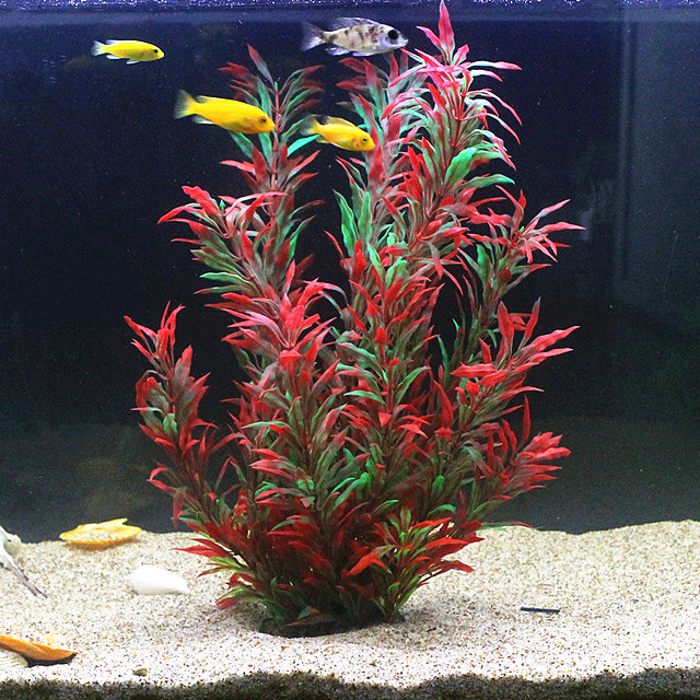 Aquarium Marine Tank - 50CM Acquario artificiale Piante rare Acquario