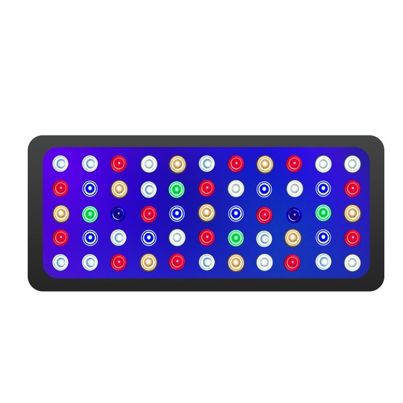 Luce per Acquario 165W, Contro - Marine Aquarium Timing recensione e prezzo