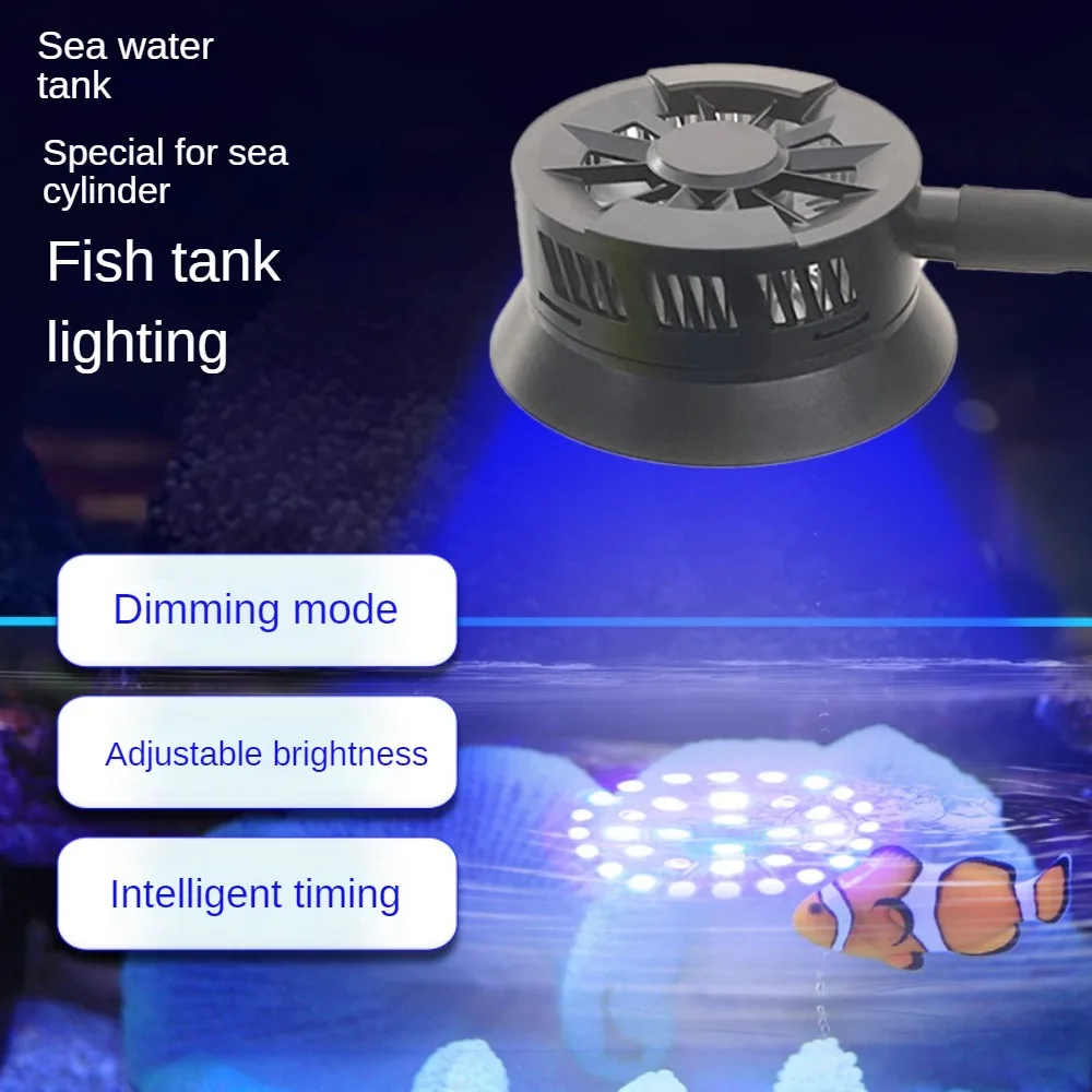 Luce per acquario a LED Luce p - Marine Aquarium Timing recensione e prezzo