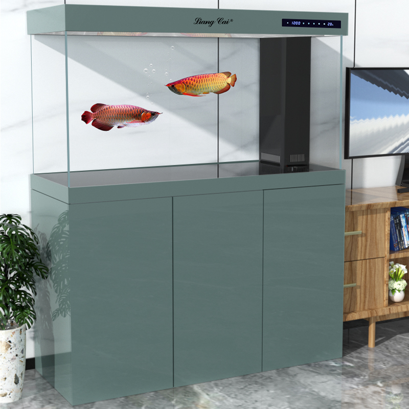 Acquario in Vetro Ultra Traspa - Marine Aquarium Live recensione e prezzo
