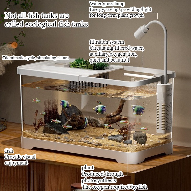 Acquario domestico da soggiorn - Marine Aquarium Live recensione e prezzo