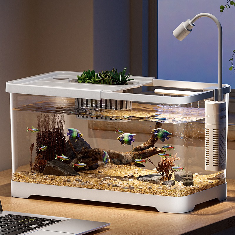 Acquario domestico da soggiorn - Marine Aquarium Live recensione e prezzo