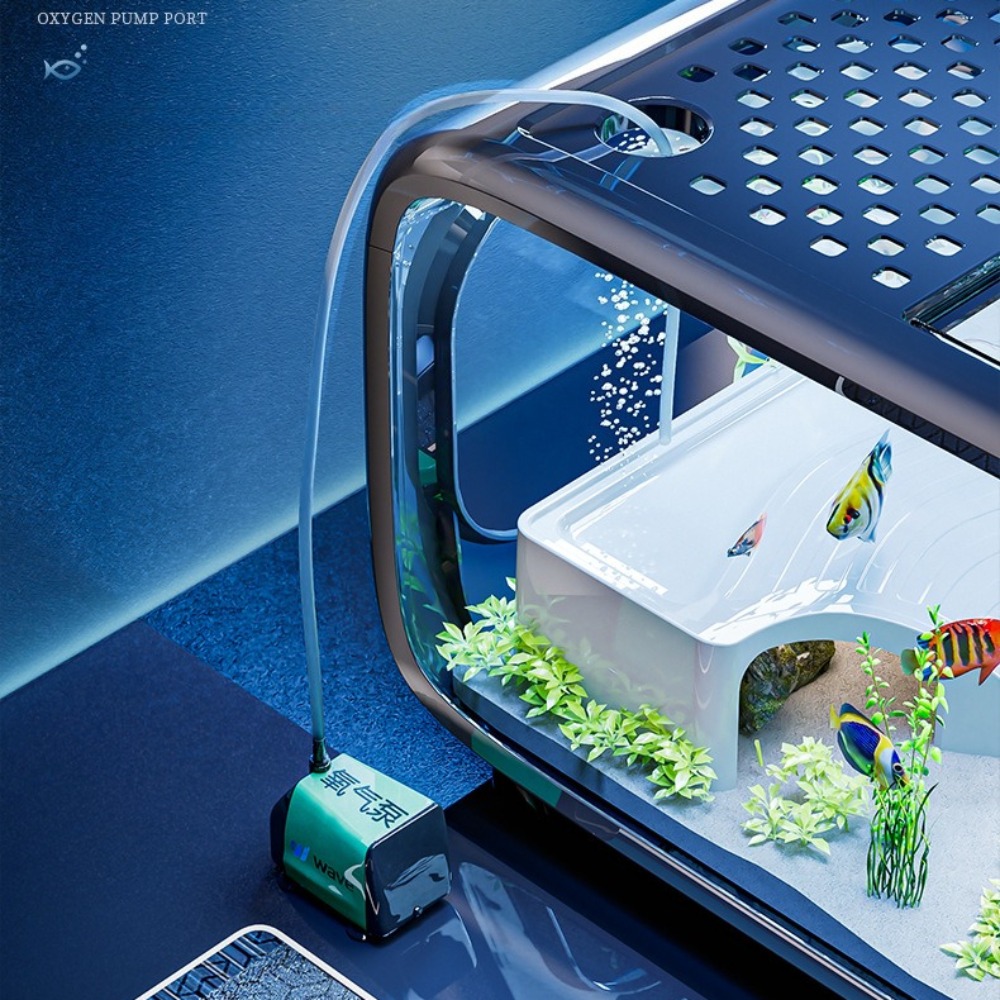 Acquario di lusso trasparente  - Marine Aquarium Live recensione e prezzo