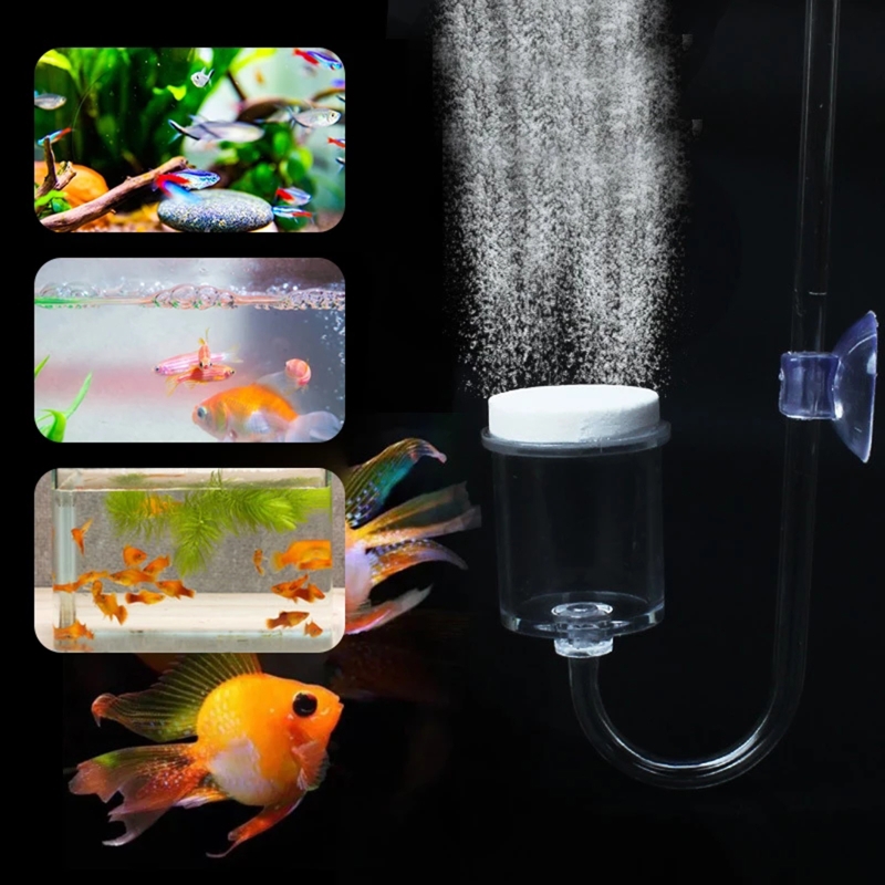Set da 4 pezzi diffusore di CO - Marine Aquarium Live recensione e prezzo