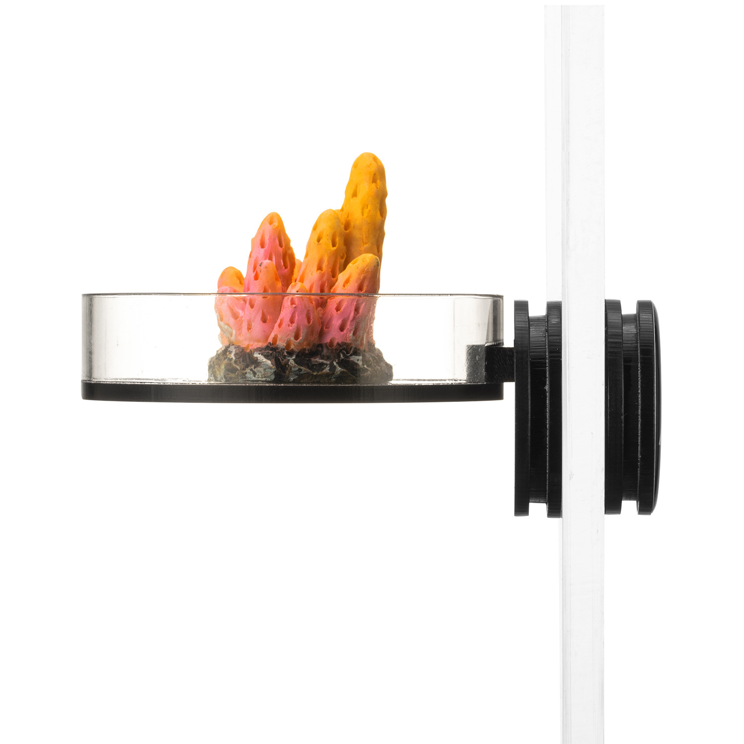 Marine Sources Rack per fram d - Aquarium Marine recensione e prezzo