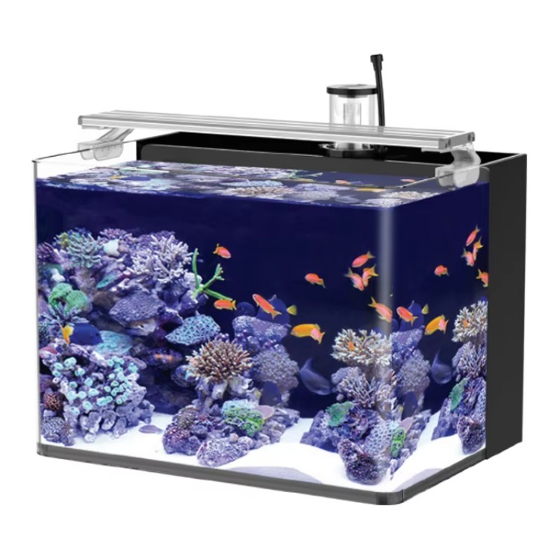 Acquario da Tavolo Curvo per P - Marine Aquarium Live recensione e prezzo