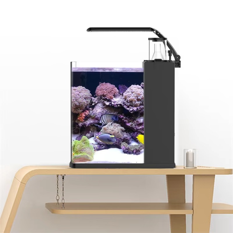 Acquario da Tavolo Curvo per P - Marine Aquarium Live recensione e prezzo