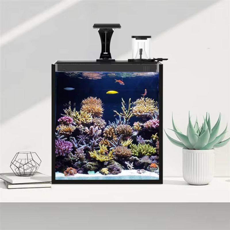 Acquario da Tavolo Curvo per P - Marine Aquarium Live recensione e prezzo